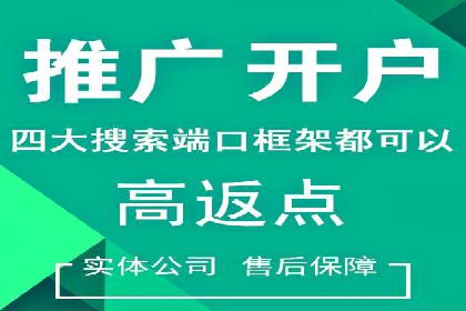SEM服务公司经典案例集锦